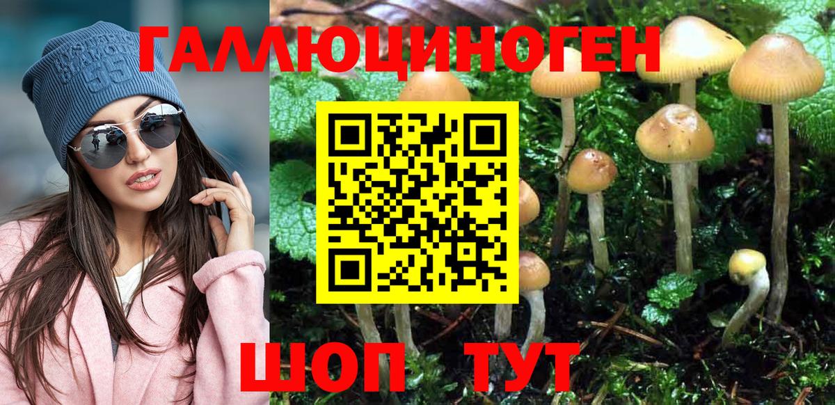 Галлюциногенные грибы MAGIC MUSHROOMS Ярцево